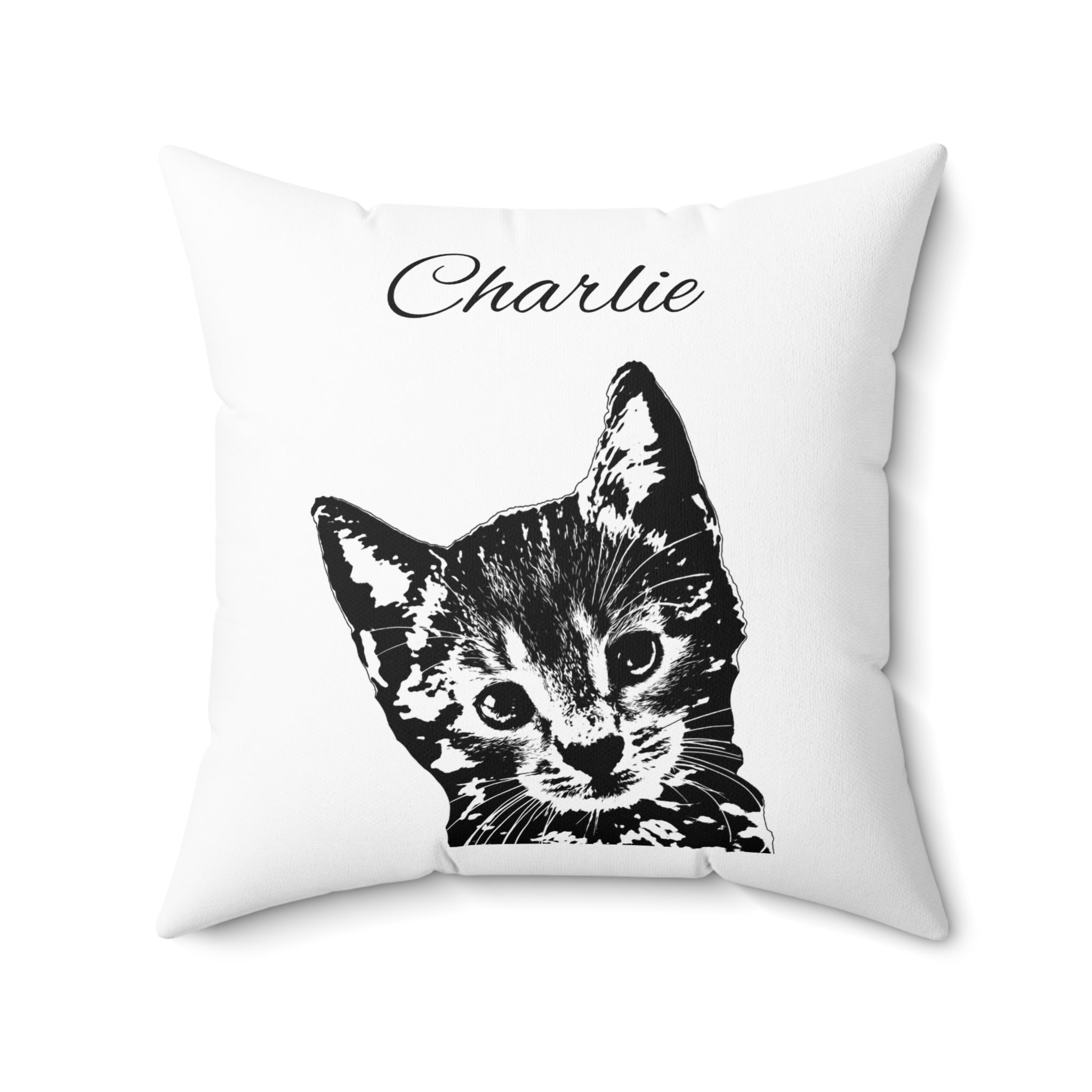 Pillow with your Pet - Personalized